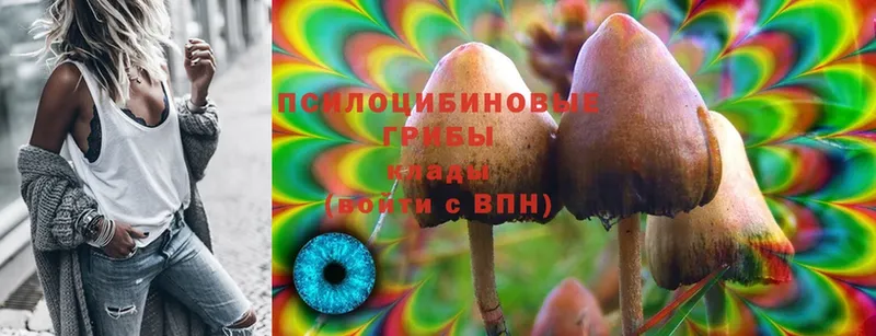 Галлюциногенные грибы Cubensis  Пошехонье 